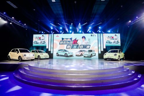 汽車(chē)品牌夢(mèng)寐以求的女性用戶,為何被歐拉抓住了